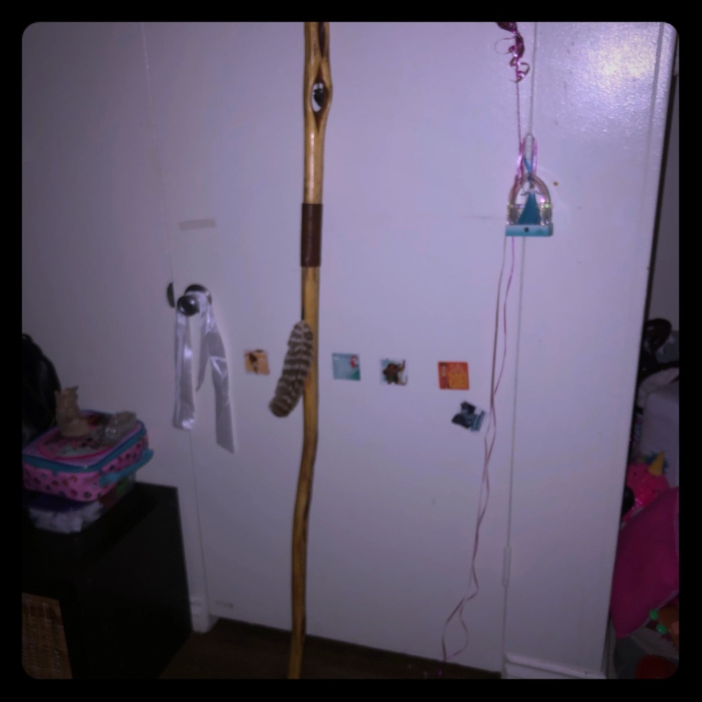 Native American Walking Stick